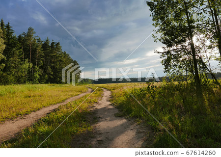 Forest landscape with a country road along the field. Forest landscape with a country road along the field. 67614260