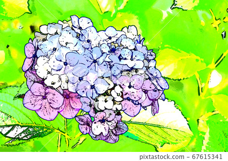 Healing windowsill with blooming hydrangea Healing windowsill with blooming hydrangea 67615341