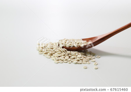 白色背景胚芽壓小麥 67615460