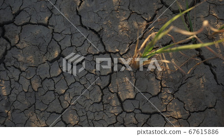 there is always hope 67615886