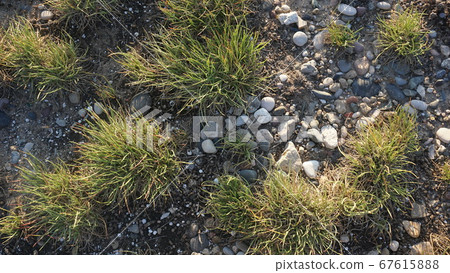 Abstract background of natural rocks 67615888