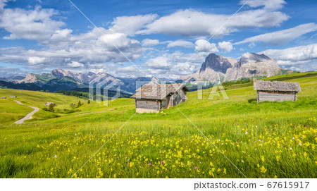 Alpe di Siusi, South Tyrol, Italy Alpe di Siusi, South Tyrol, Italy 67615917