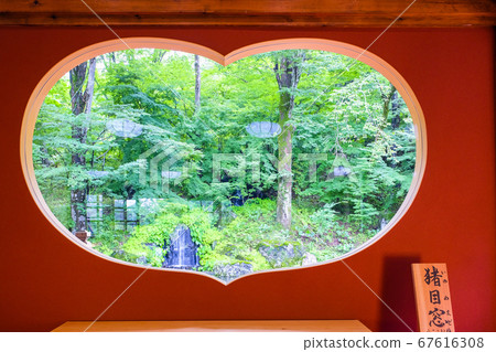 Inome windows and fresh green Inome windows and fresh green 67616308