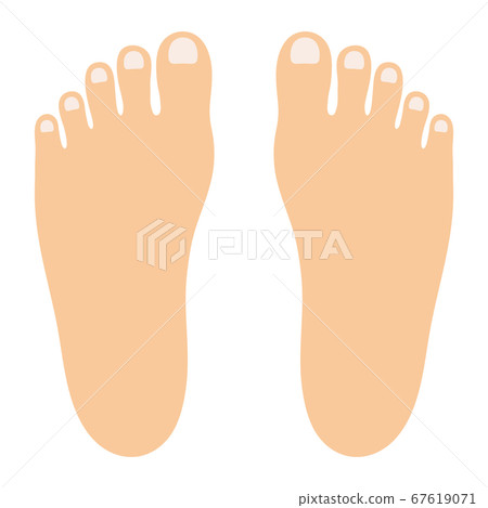 矢量圖的腳背（沒有主線） 67619071