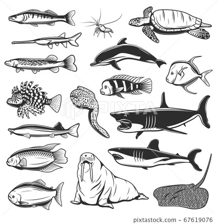 Sea fish and animal isolated vector icons Sea fish and animal isolated vector icons 67619076