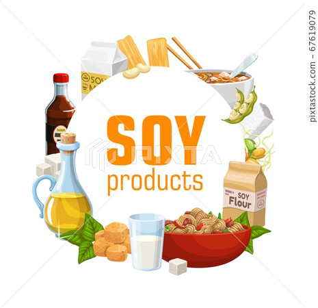 Soy bean food, soybean tofu, milk, oil, tempeh 67619079