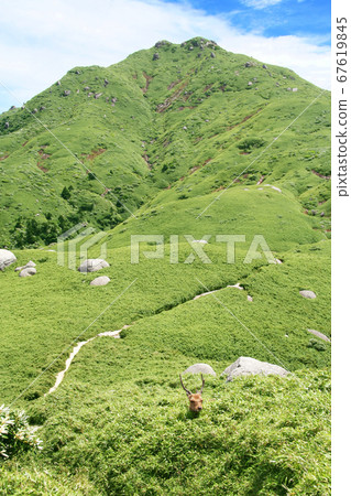 Yakushima, Miyanouradake and Yakuka Yakushima, Miyanouradake and Yakuka 67619845