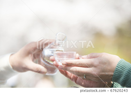 Hand pouring sake 67620243