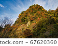 Ryokusenkyo 67620360