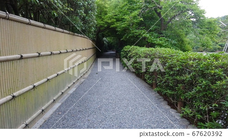Walk to the mysterious world through a clean gravel road and a fence made of bamboo 67620392