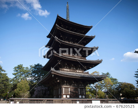 奈良縣奈良市高福寺和五層寶塔 67620525