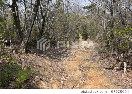 小樽城堡遺址通往本丸遺址的道路 小樽城堡遺址通往本丸遺址的道路 67620604