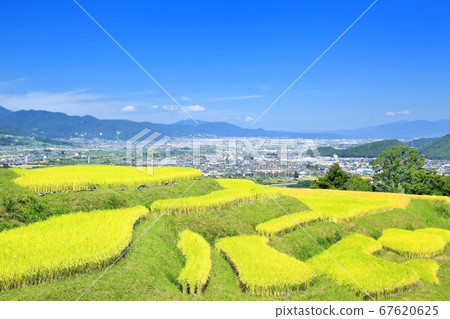 Sloth rice paddy and Zenkojihe Sloth rice paddy and Zenkojihe 67620625