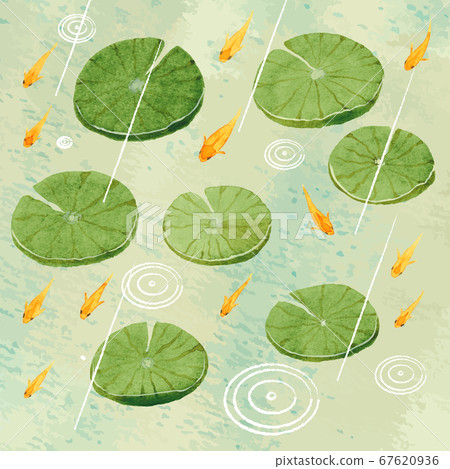 The strength of rain and the killifish 67620936