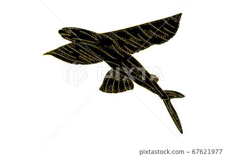 88 Constellation with shadow without line Black Pisces 88 Constellation with shadow without line Black Pisces 67621977