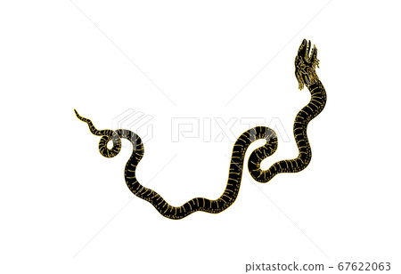 88星座無影無影黑蛇 67622063