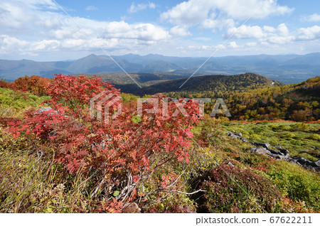 人參梯的紅葉(北海道,神川町,大雪山) 人參梯的紅葉(北海道,神川町,大雪山) 67622211