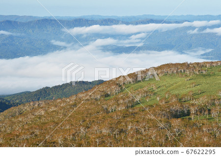 從山頂（北海道）看到的雲海 67622295