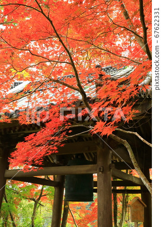 Nishiyama, Kyoto "Jurinji Temple" Bell and colored leaves 67622331