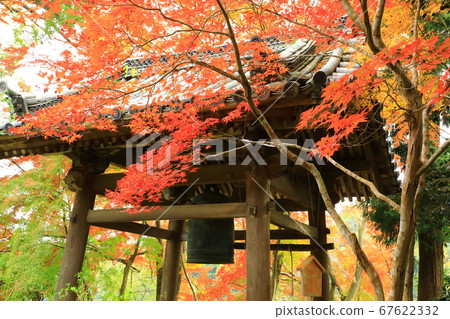 Nishiyama, Kyoto "Jurinji Temple" Bell and colored leaves Nishiyama, Kyoto "Jurinji Temple" Bell and colored leaves 67622332