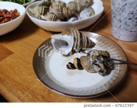 Whelk (horizontal) 67622397