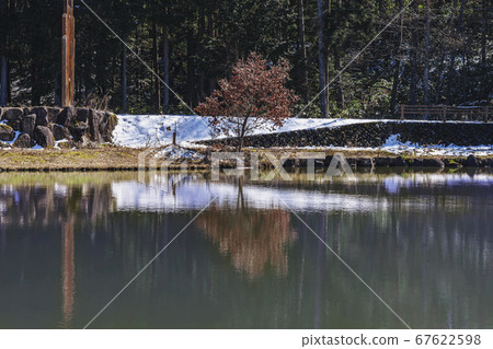 200325 Bijogaike M028 200325 Bijogaike M028 67622598