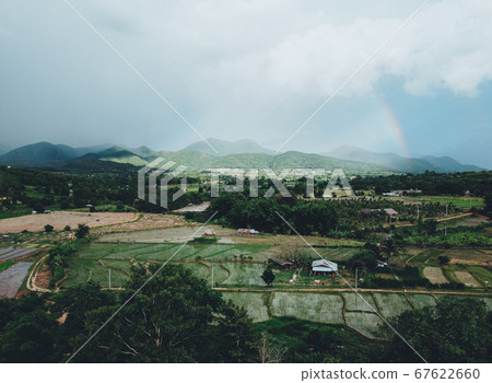 Rice fields in the evening after the rain Rice fields in the evening after the rain 67622660