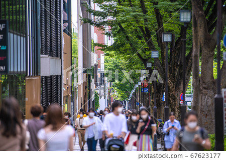 日本東京,表參道,東京的城市景觀(綠蔭成蔭的林蔭道路)= 7月12日 日本東京,表參道,東京的城市景觀(綠蔭成蔭的林蔭道路)= 7月12日 67623177