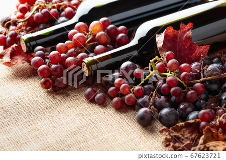 Red wine bottles and grapes with dried up vine Red wine bottles and grapes with dried up vine 67623721