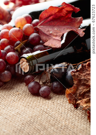 Red wine bottles and grapes with dried up vine Red wine bottles and grapes with dried up vine 67623723