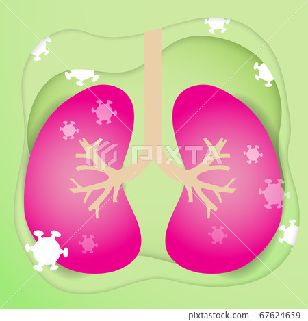 Lung and virus vector image for coronavirus content. Lung and virus vector image for coronavirus content. 67624659