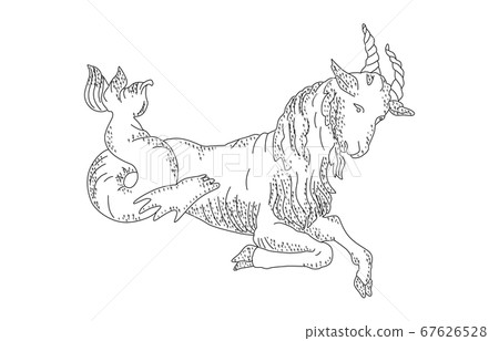 88星座無影無影白色摩ri座 88星座無影無影白色摩ri座 67626528