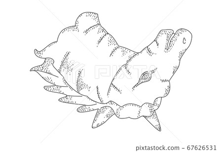 88星座有陰影無線天鵝座 88星座有陰影無線天鵝座 67626531