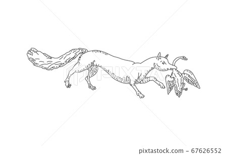 88 constellations with shadows without lines White fox 88 constellations with shadows without lines White fox 67626552