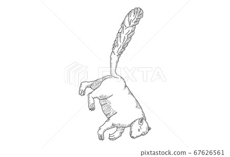 88 constellation with shadow without line white bear 88 constellation with shadow without line white bear 67626561