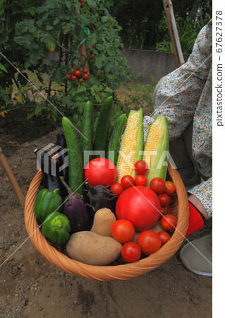 Home garden Home garden 67627378