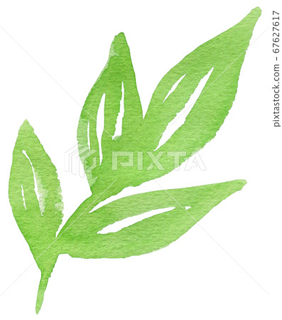 背景花卉色葉植物材料圖案水彩顏料 67627617