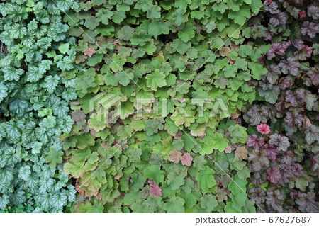 Hukegla Hukegla 67627687