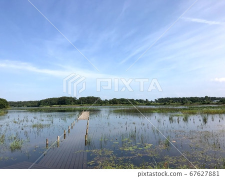 Ike Pier and Aozora Bense Wetlands Ike Pier and Aozora Bense Wetlands 67627881