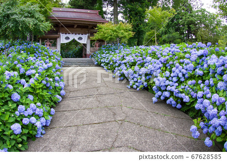 Unzenji Temple in Akita Prefecture Unzenji Temple in Akita Prefecture 67628585