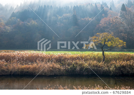 Satoyama's dawn Satoyama's dawn 67629884