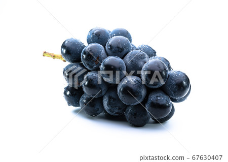 Nagano Purple Large Grapes 67630407