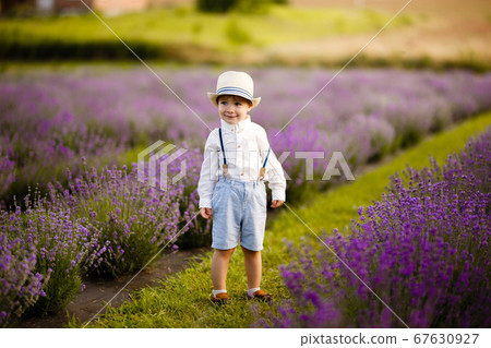 Little boy walking on a lavender field. In a stylish hat. Little boy walking on a lavender field. In a stylish hat. 67630927