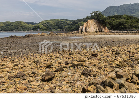 大島海岸 大島海岸 67631386