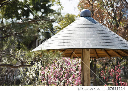Fujita Manor Park 67631614