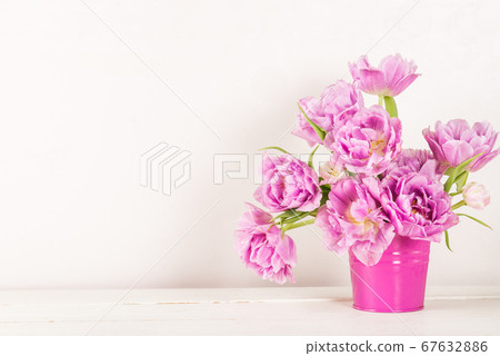 Beautiful Bunch of Peony Style Tulips in the Pink 67632886