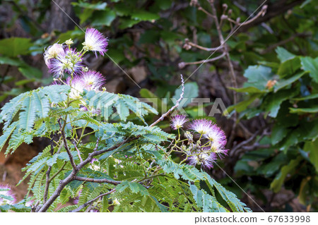 Ballistic Port 67633998