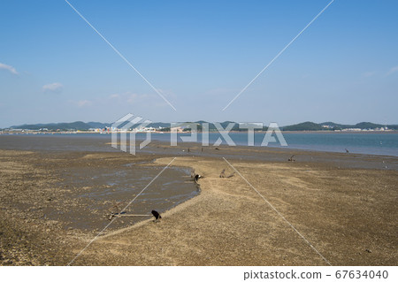 彈道港 彈道港 67634040