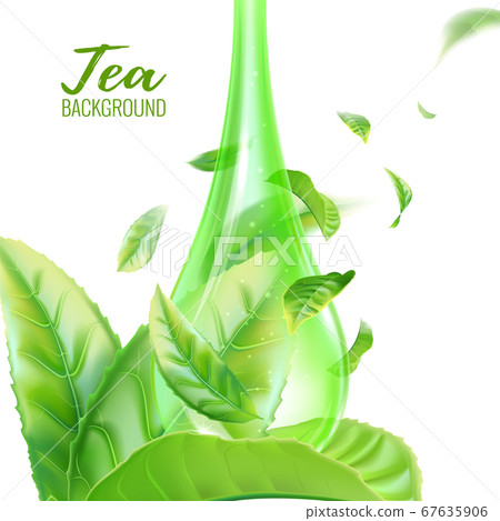 Realistic green tea leaves in a drop . Vector Realistic green tea leaves in a drop . Vector 67635906