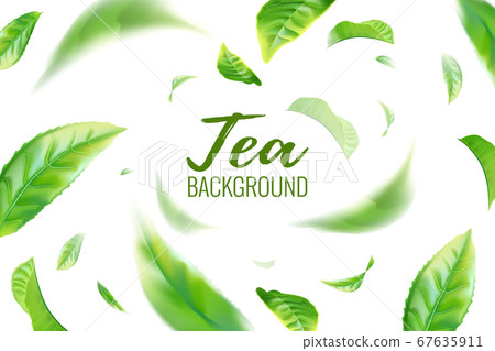Realistic green tea leaves background for Realistic green tea leaves background for 67635911